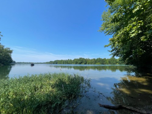 A serene river scene with clear blue skies, lush green trees, and calm water reflecting the landscape.