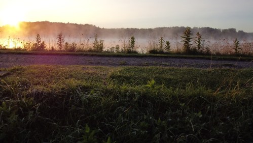 A serene landscape at sunrise, with mist rising over a field and trees in the background.