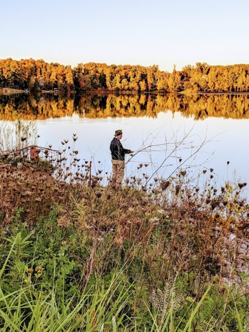 A person fishing by a calm lake surrounded by autumn foliage and tall grasses.