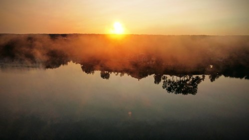 A serene sunrise over a misty lake, reflecting trees and soft colors in the water.