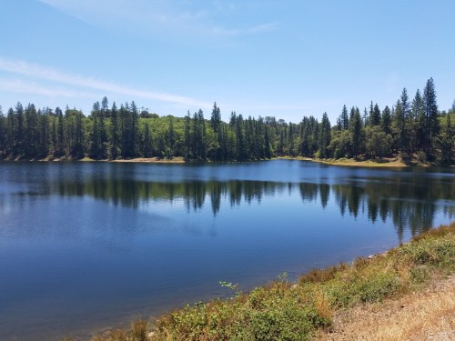 A serene lake surrounded by lush green trees under a clear blue sky, reflecting the landscape in the water.