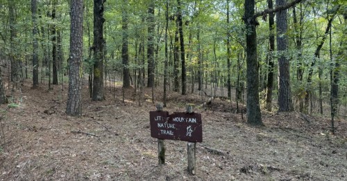 Brown sign at Little Mountain Trail at Hugh White State Park in MS.