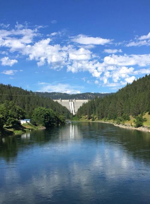 A serene river reflects a dam surrounded by lush green trees and a blue sky with scattered clouds.