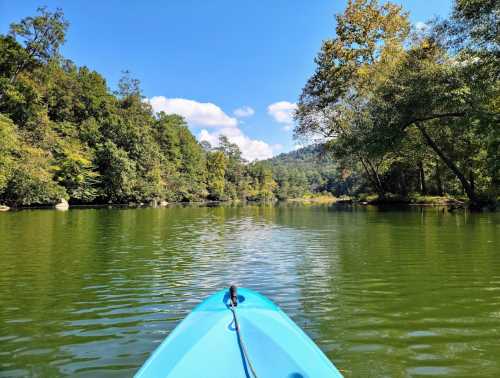 A view from a kayak on a calm river, surrounded by lush green trees and a clear blue sky.