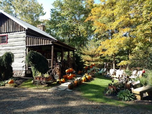 A rustic cabin surrounded by colorful autumn foliage and a pathway lined with pumpkins.