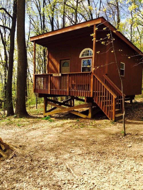 A small wooden cabin with a porch, surrounded by trees and greenery in a forested area.