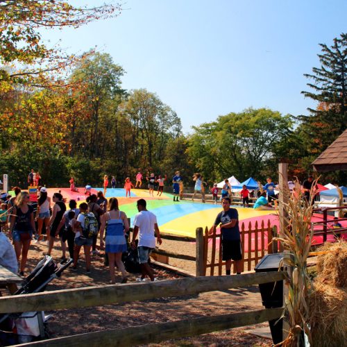 A colorful inflatable bounce area filled with children and families enjoying a sunny day at a park.