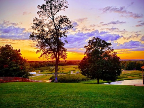 A vibrant sunset over rolling hills, with trees silhouetted against a colorful sky and a lush green lawn in the foreground.