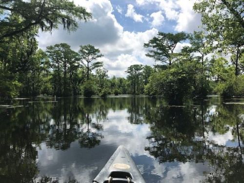 A serene view of a calm river surrounded by lush greenery and trees, with fluffy clouds reflecting on the water.