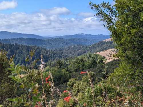 A scenic view of rolling hills and forests under a partly cloudy sky, with wildflowers in the foreground.