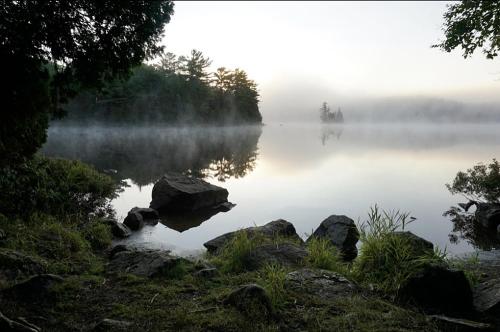 A serene lake at dawn, surrounded by mist and trees, with rocks and grass in the foreground.