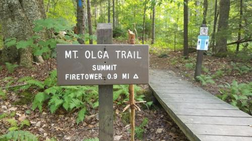 Sign for Mt. Olga Trail indicating the summit is 0.9 miles ahead, with a fire tower nearby. Surrounded by trees and ferns.