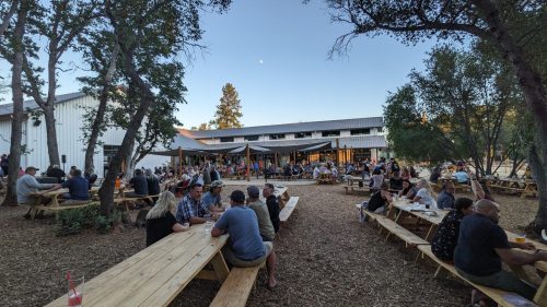 Outdoor gathering at a venue with people seated at picnic tables, enjoying drinks and conversation under trees.