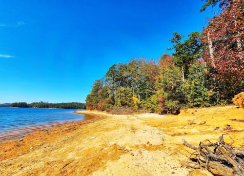 A sandy shoreline with colorful autumn trees under a clear blue sky by a calm lake.