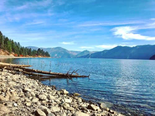A serene lake surrounded by mountains, with a rocky shore and fallen logs under a clear blue sky.