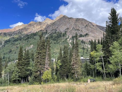 A scenic view of a mountain range with lush green trees and a blue sky dotted with clouds.