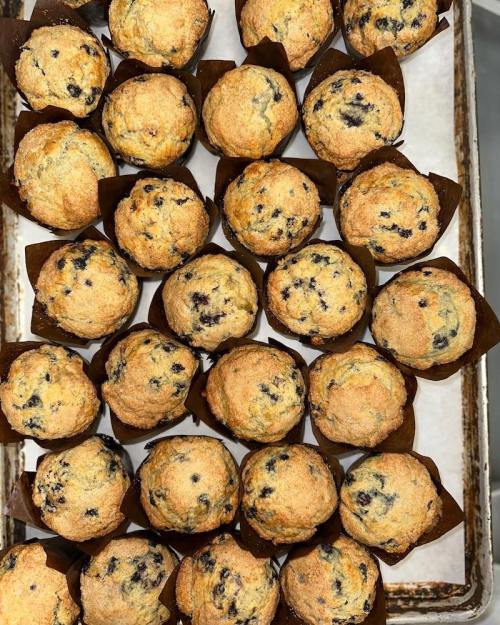 A tray of freshly baked blueberry muffins in brown paper liners, arranged neatly on a baking sheet.