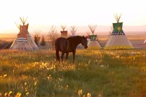 A horse stands in a grassy field near colorful tipis at sunset, with a vast landscape in the background.