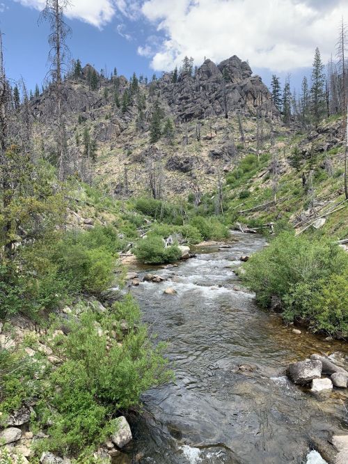 A serene river flows through a rocky landscape, surrounded by lush greenery and tall trees under a partly cloudy sky.
