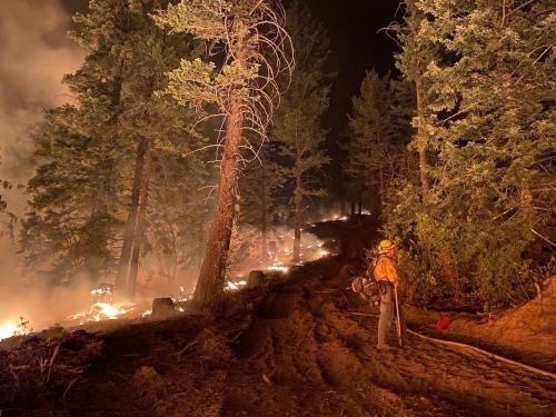 A firefighter stands on a dirt path, observing flames and smoke among trees during a nighttime wildfire.