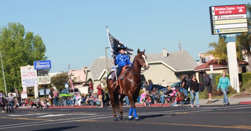 A rider in blue attire on a horse, holding a flag, parades down a street with spectators watching.
