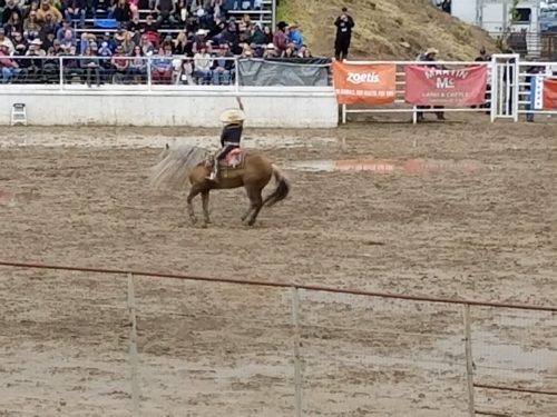 A cowboy on a horse performs in a muddy rodeo arena, with a crowd watching in the background.