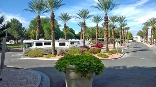 A sunny RV park with palm trees, colorful flowers, and parked RVs along a winding road.