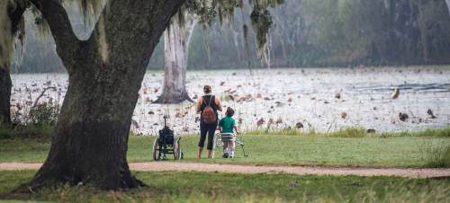 A woman and two children stand by a lake, surrounded by trees and lily pads, enjoying a peaceful outdoor moment.