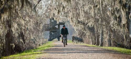 A person rides a bicycle along a tree-lined path draped with Spanish moss, with a wooden bridge in the background.