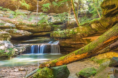 A serene forest scene featuring a small waterfall cascading into a tranquil pool, surrounded by lush greenery and rocks.