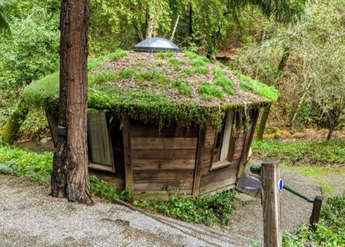 A unique wooden cabin with a grassy, moss-covered roof, surrounded by trees and greenery.
