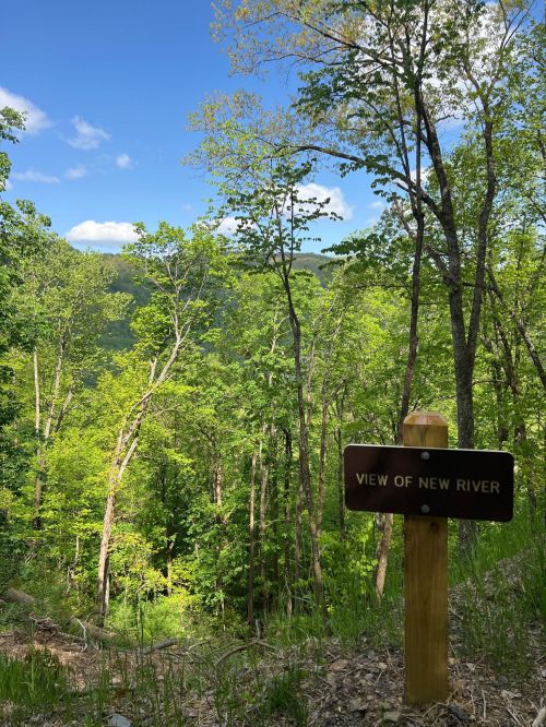 A wooden sign reading "View of New River" in a lush green forest under a clear blue sky.