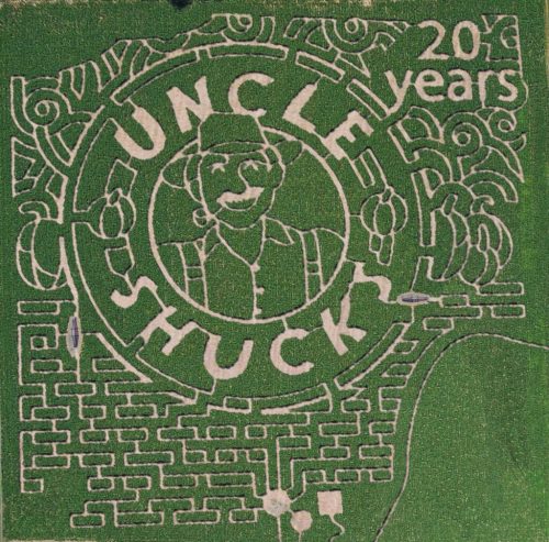 Aerial view of a corn maze celebrating 20 years of Uncle Shuck's, featuring a character and decorative elements.