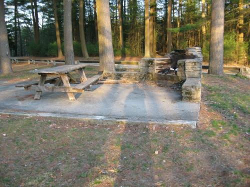 A picnic area with a wooden table and stone grill, surrounded by tall trees in a natural setting.