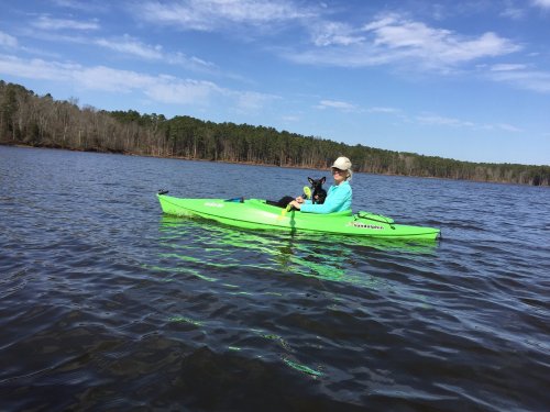 A person in a green kayak paddles on a calm lake, accompanied by a dog, with trees in the background under a blue sky.