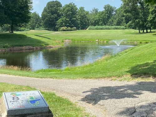 A serene golf course scene featuring a pond with a fountain, surrounded by lush greenery and a clear blue sky.