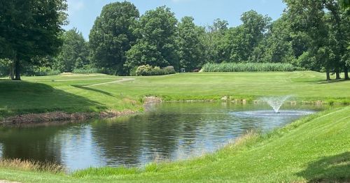 A serene landscape featuring a pond with a fountain, surrounded by lush green grass and trees under a clear blue sky.