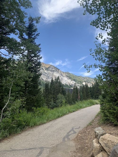 A scenic pathway through lush greenery, leading towards mountains under a blue sky with scattered clouds.