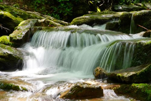 A serene waterfall cascading over moss-covered rocks in a lush, green forest.