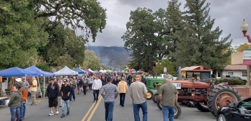 A bustling street fair with vendors, people walking, and vintage tractors under cloudy skies and trees.