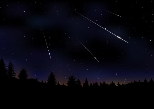 A starry night sky with several shooting stars above a silhouette of pine trees.