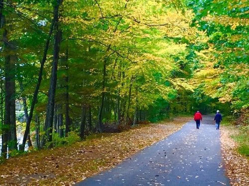 Two people walk along a tree-lined path covered in autumn leaves, surrounded by vibrant fall foliage.