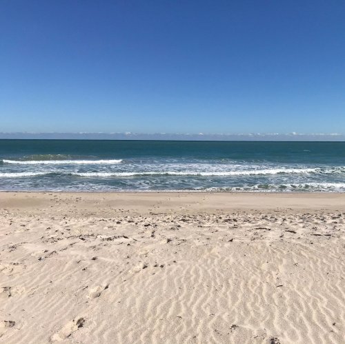 A serene beach scene with soft sand and calm blue ocean under a clear sky.