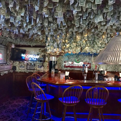 A bar interior with a wooden counter, surrounded by walls and ceiling covered in dollar bills.