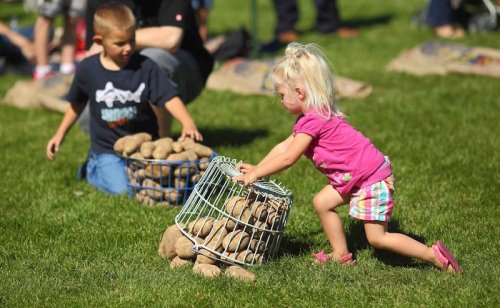 Two children play outdoors, one pushing a basket of rocks while the other sits nearby on the grass.
