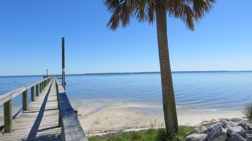 A wooden pier extends into calm waters, with a palm tree and clear blue sky in the background.