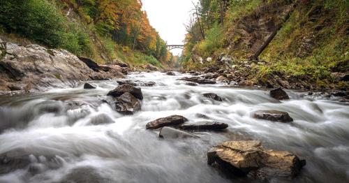 A serene river flows over rocks, surrounded by lush greenery and autumn-colored trees, with a bridge in the background.