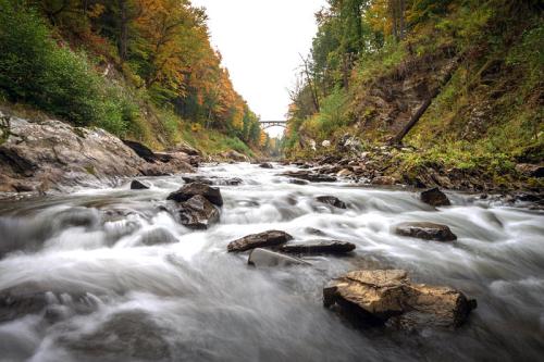 A serene river flows through a rocky landscape, framed by autumn foliage and a distant bridge.