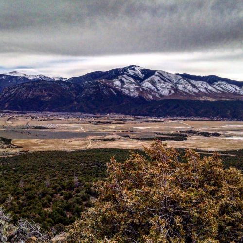 A panoramic view of snow-capped mountains over a valley, with green shrubs in the foreground and a cloudy sky.