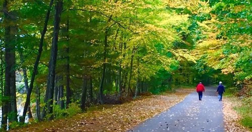 Two people walk along a tree-lined path covered in autumn leaves, surrounded by vibrant fall foliage.